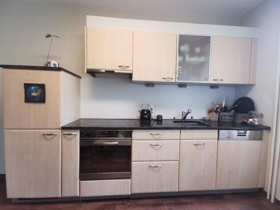 Beautiful Central Apartment Bern Ngoại thất bức ảnh