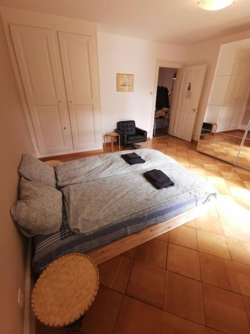 Beautiful Central Apartment Bern Ngoại thất bức ảnh