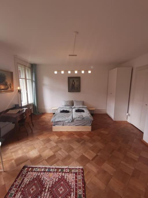 Beautiful Central Apartment Bern Ngoại thất bức ảnh